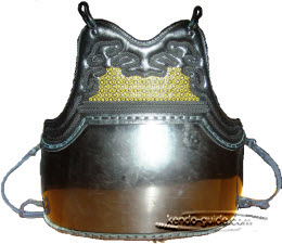 Kendo Armour